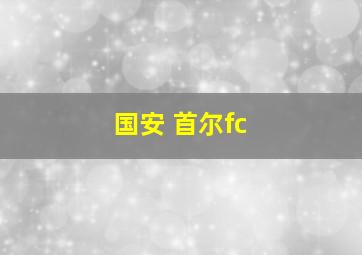 国安 首尔fc